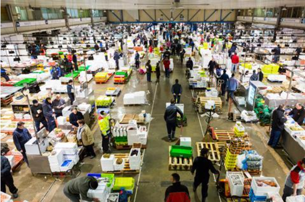 screenshot 2026 03 25 200228